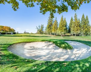 Golf bunkere on course