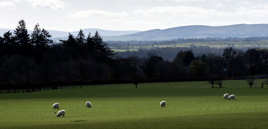field in Scotland
